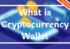 What is Cryptocurrency Wallet