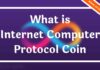 What is Internet Computer Protocol Coin