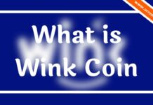 What is Wink Coin