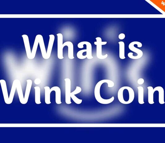What is Wink Coin